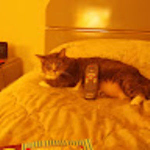 Meet your Posher, Bill